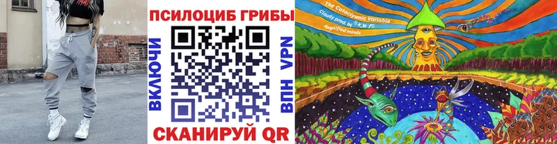 Купить  Зеленокумск  Псилоцибиновые грибы мицелий 